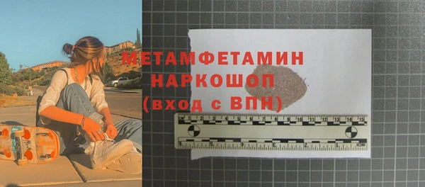 прущие грибы Надым
