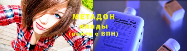 прущие грибы Надым