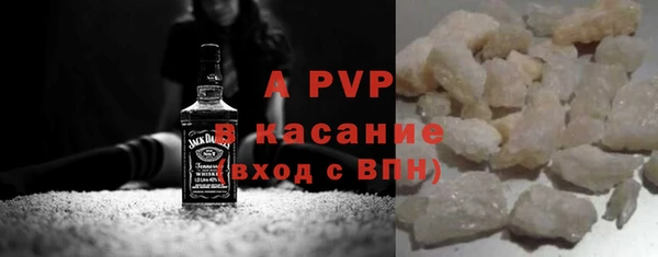 прущие грибы Надым