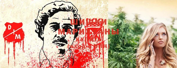 прущие грибы Надым
