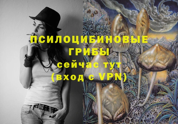 спиды Навашино