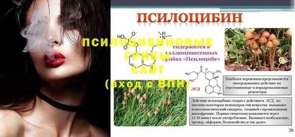 дживик Абинск